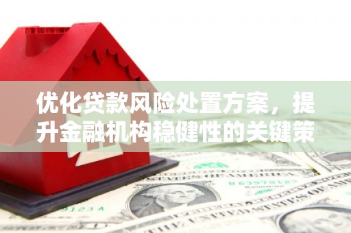 濮阳优化贷款风险处置方案，提升金融机构稳健性的关键策略