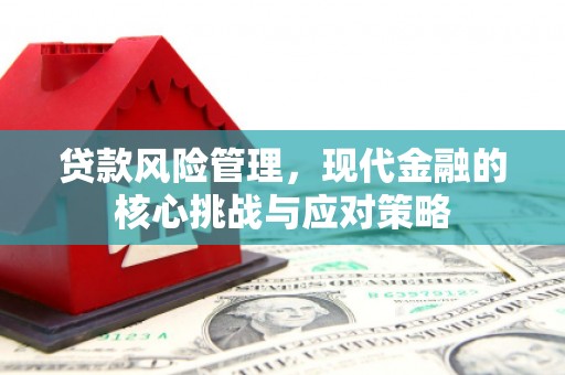 濮阳贷款风险管理，现代金融的核心挑战与应对策略