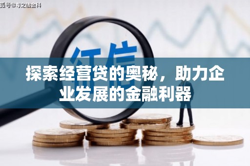 濮阳探索经营贷的奥秘，助力企业发展的金融利器