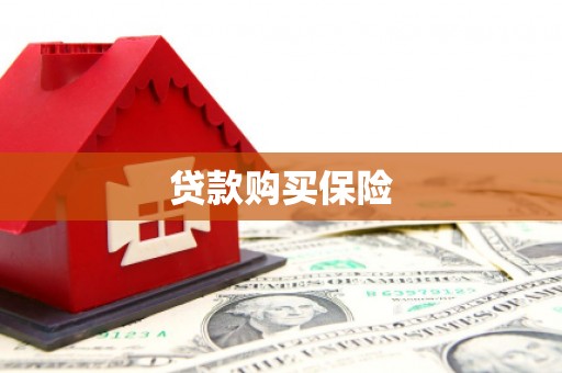 濮阳贷款购买保险