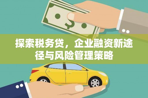 濮阳探索税务贷，企业融资新途径与风险管理策略