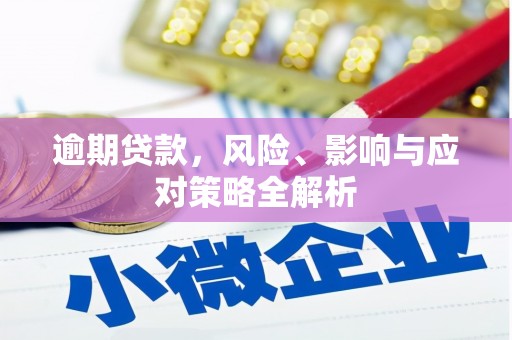 濮阳逾期贷款，风险、影响与应对策略全解析