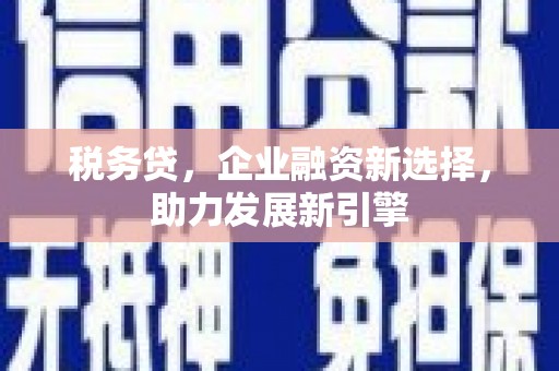 濮阳税务贷，企业融资新选择，助力发展新引擎