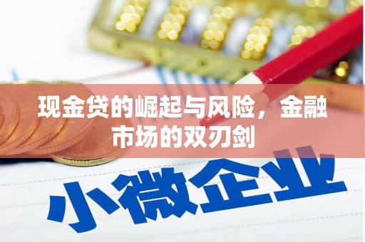 濮阳现金贷的崛起与风险，金融市场的双刃剑