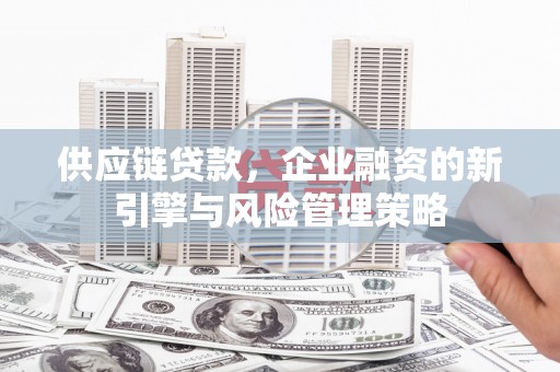 濮阳供应链贷款，企业融资的新引擎与风险管理策略