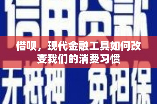 濮阳借呗，现代金融工具如何改变我们的消费习惯