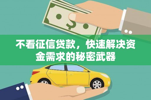 濮阳不看征信贷款，快速解决资金需求的秘密武器