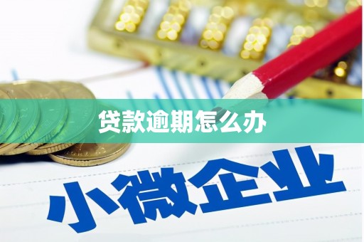 濮阳贷款逾期怎么办