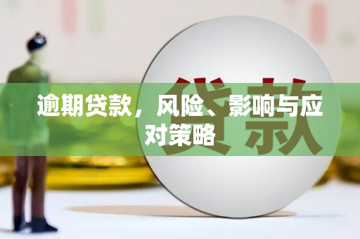 濮阳逾期贷款，风险、影响与应对策略