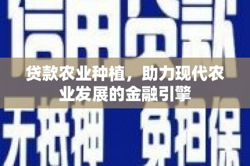 濮阳贷款农业种植，助力现代农业发展的金融引擎