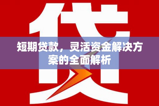 濮阳短期贷款，灵活资金解决方案的全面解析