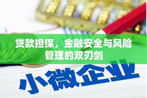濮阳贷款担保，金融安全与风险管理的双刃剑