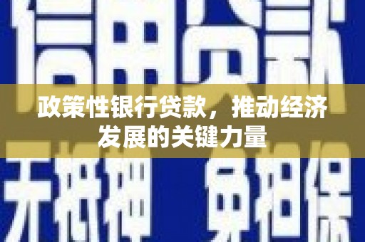 濮阳政策性银行贷款，推动经济发展的关键力量