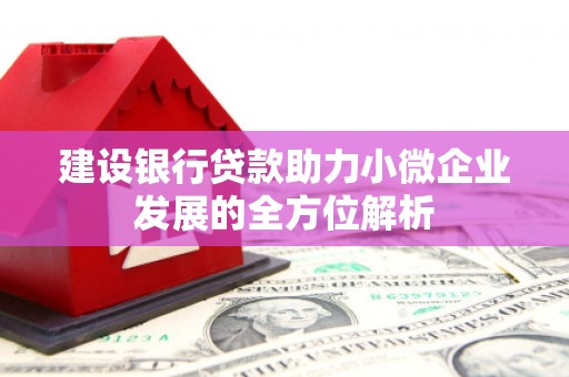 濮阳建设银行贷款助力小微企业发展的全方位解析