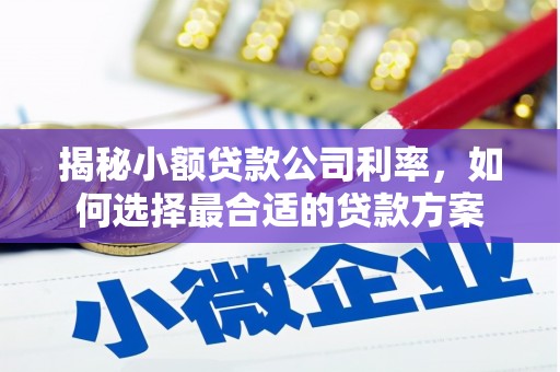 濮阳揭秘小额贷款公司利率，如何选择最合适的贷款方案