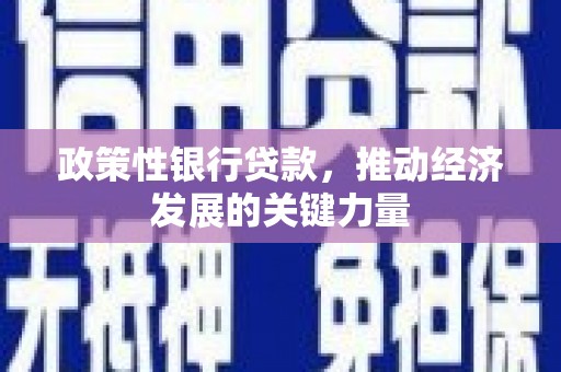 濮阳政策性银行贷款，推动经济发展的关键力量