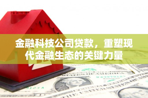 濮阳金融科技公司贷款，重塑现代金融生态的关键力量