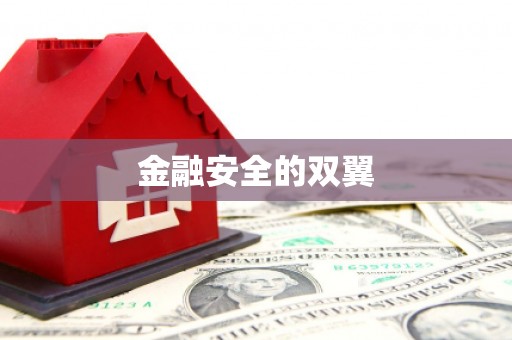 濮阳金融安全的双翼