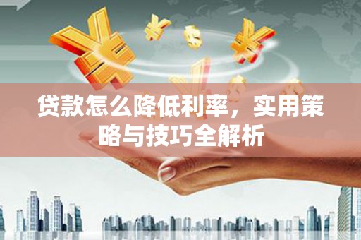 濮阳贷款怎么降低利率，实用策略与技巧全解析