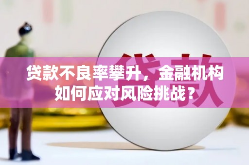 濮阳贷款不良率攀升，金融机构如何应对风险挑战？