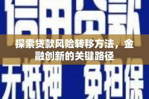 濮阳探索贷款风险转移方法，金融创新的关键路径