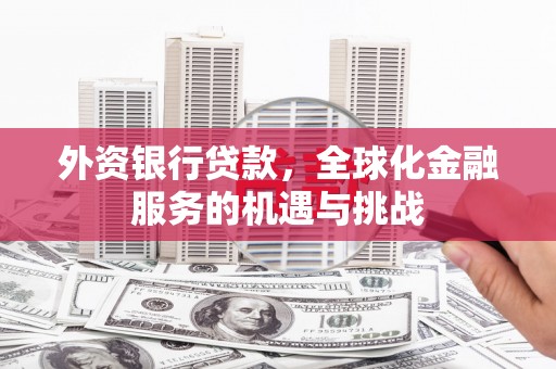 濮阳外资银行贷款，全球化金融服务的机遇与挑战