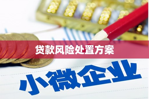 濮阳贷款风险处置方案