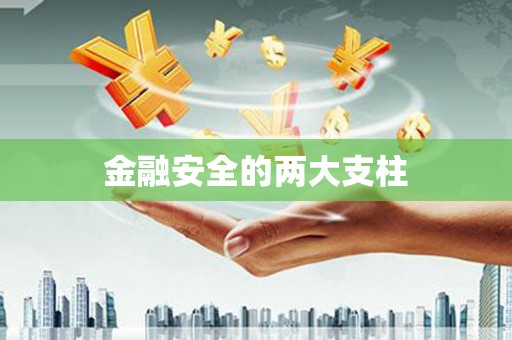 濮阳金融安全的两大支柱
