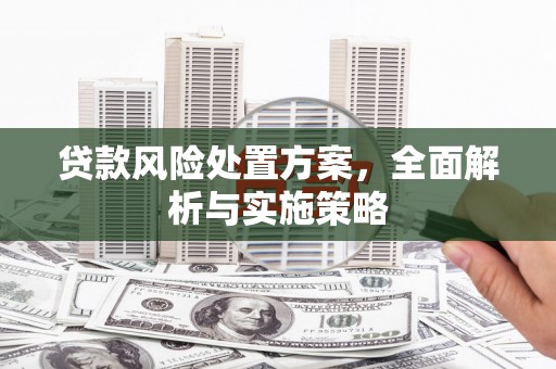 濮阳贷款风险处置方案，全面解析与实施策略