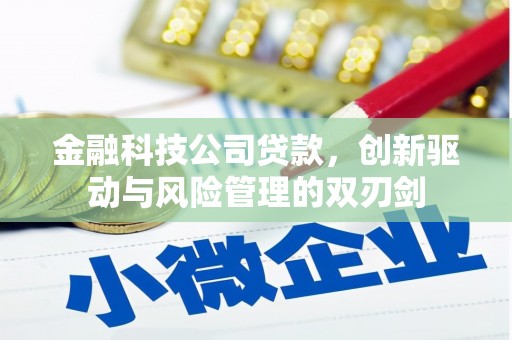 濮阳金融科技公司贷款，创新驱动与风险管理的双刃剑