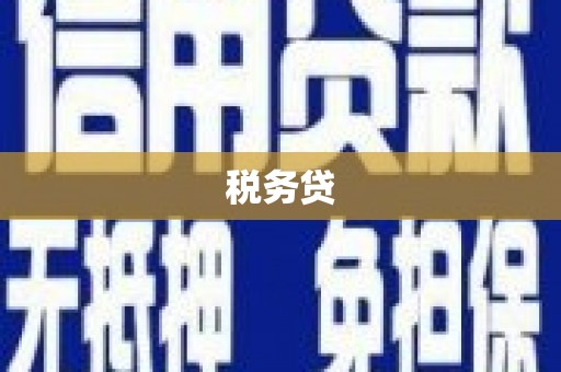 濮阳税务贷